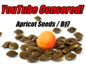 YouTube Bans B17 Cancer Videos for Profit?  The Big Pharma Scandal!